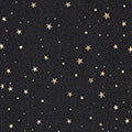 Yumi Black Mesh Star Print Long Sleeve Top Tops Yumi